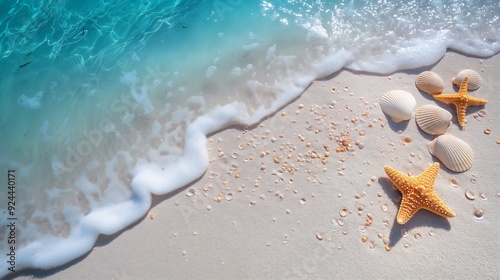 Close-up of seashells and starfish on the sandy beach. On a clean white sandy beach.