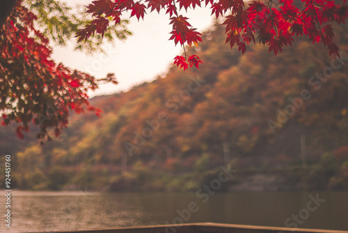 autumn leaves on the mountains at the lake
