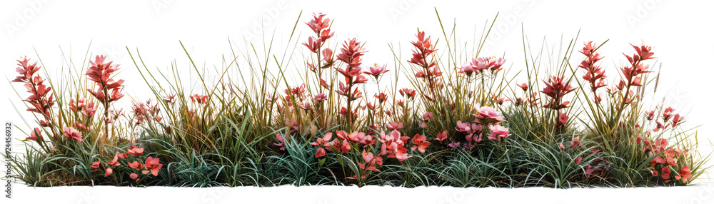 A stunning composition of lush greenery and vibrant pink flowers, capturing the essence of nature's beauty, evoking joy and serenity in outdoor settings with vivid colors. A stunning composition of lush greenery and vibrant pink flowers, capturing the essence of nature's beauty, evoking joy and serenity in outdoor settings with vivid colors.