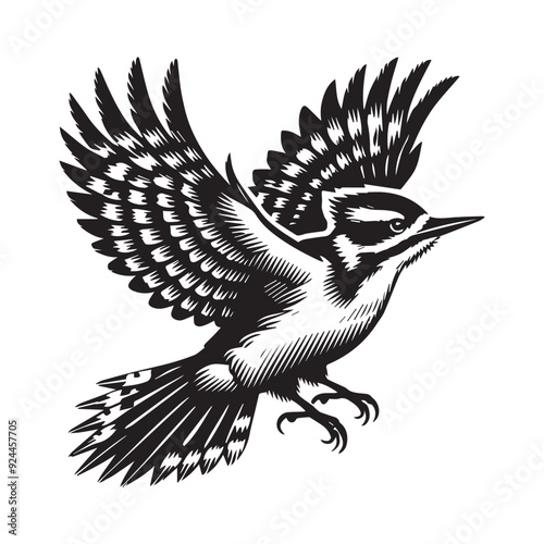 Hairy Woodpecker silhouette, Woodpecker  Bird Clipart, Hairy Woodpecker flying wings tucked illustration