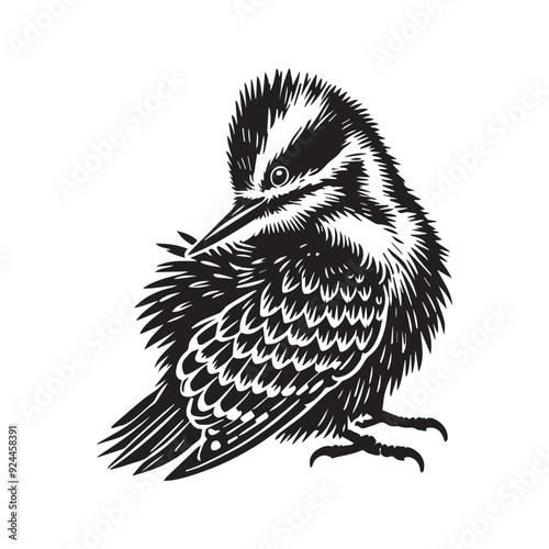 Hairy Woodpecker silhouette, Woodpecker  Bird Clipart, Hairy Woodpecker preening feathers illustration