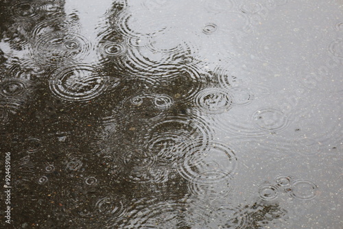 雨が作る波紋