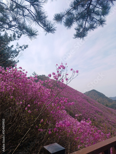 KOREA fantastic, beautiful, amzing mountain and sky view photo