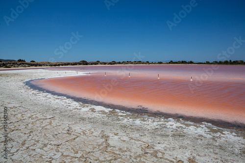 Pink salt lake evaporation pond reflecting blue sky on sunny day photo