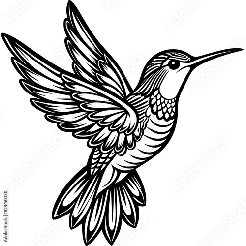 Hummingbird art vector