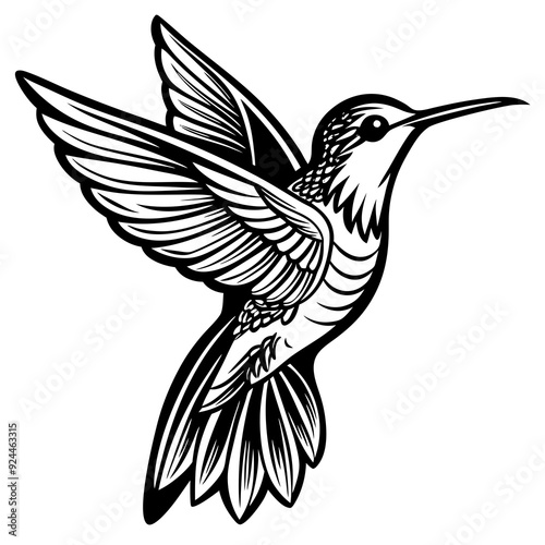 Hummingbird art vector