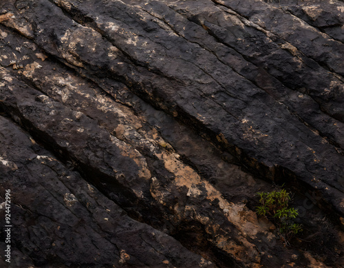 bark texture.a dark, weathered rock surface with striking natural patterns and rough textures, suitable for use as a dynamic and earthy background