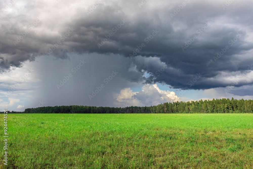 A field of grass is covered in clouds and a storm is brewing A field of grass is covered in clouds and a storm is brewing