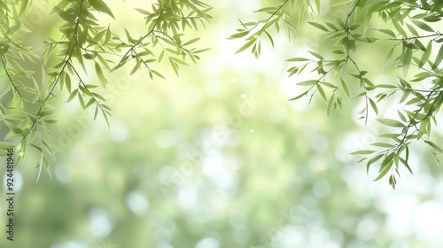 Green Leaves with Blurred Background.