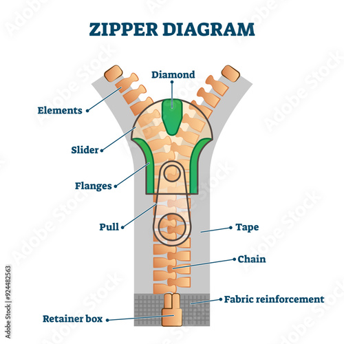 Zipper diagram illustration, transparent background. Detailed educational scheme with titles. Part names explanation with binding clothing edges.