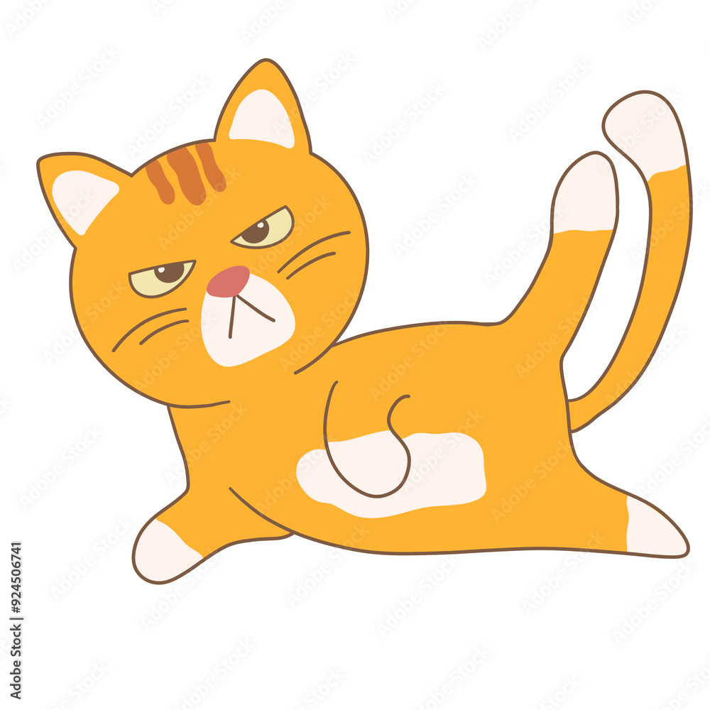 Orange Cat Yoga Orange Cat Yoga