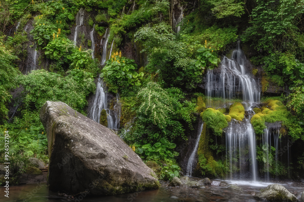 Naklejka premium 山梨県北斗市 新緑の吐竜の滝 