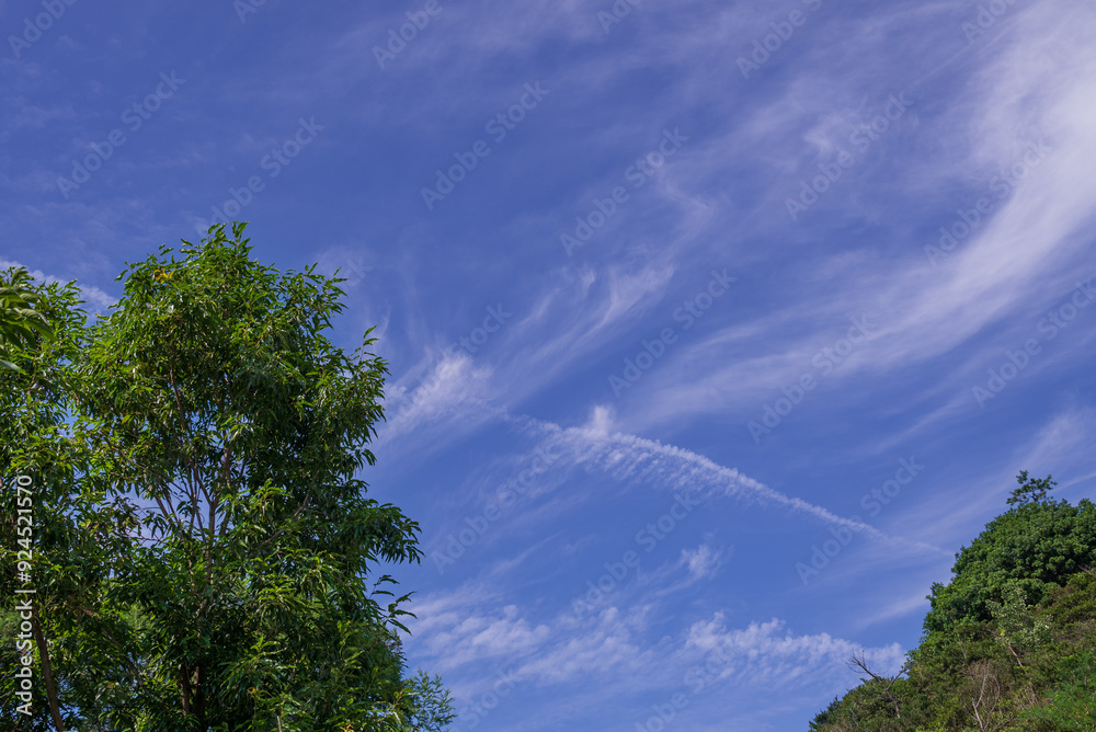 Obraz premium 青空に浮かぶ白い雲