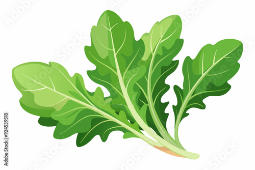 A Bunch of Fresh Green Arugula Leaves