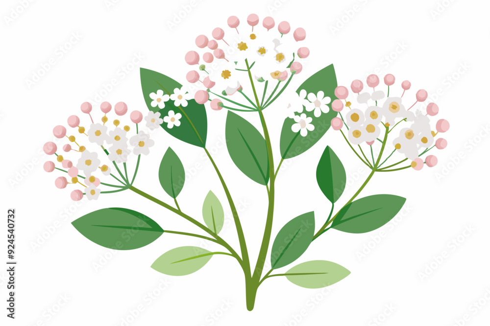 Fototapeta premium A Branch of White Flowers with Pink Buds and Green Leaves