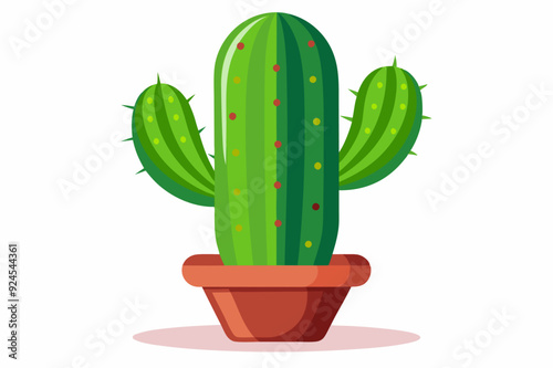 Green Cactus Plant in a Brown Pot with White Background