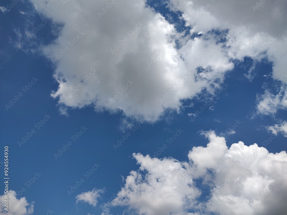 Obraz premium 東京のそら(24.8.15)