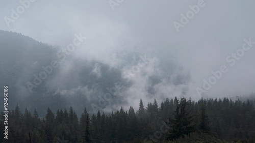 In the highlands of the Carpathians, Ukraine after the rain the fog rises beautifully over the forest slopes with coniferous spruce trees and pastures, next to old shepherd's huts shelters