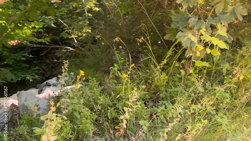 Large trash near an abandoned mountain hotel, illegally brought by locals in Zakarpattia, Ukraine