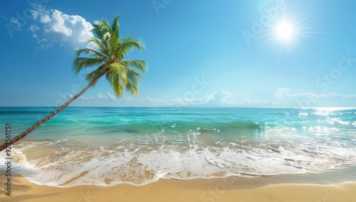 Palm Tree on a Sandy Beach with Crystal Clear Water