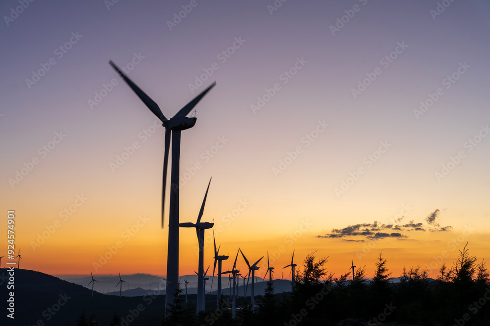 Obraz premium Wind turbines in the evening