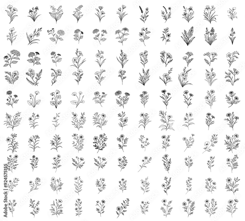 big set of hand drawn herbs and wild flowers, doodle floral icon collection big set of hand drawn herbs and wild flowers, doodle floral icon collection