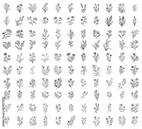 big set of hand drawn herbs and wild flowers, doodle floral icon collection
