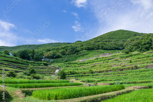 青空の下収穫時期を待つ棚田 photo