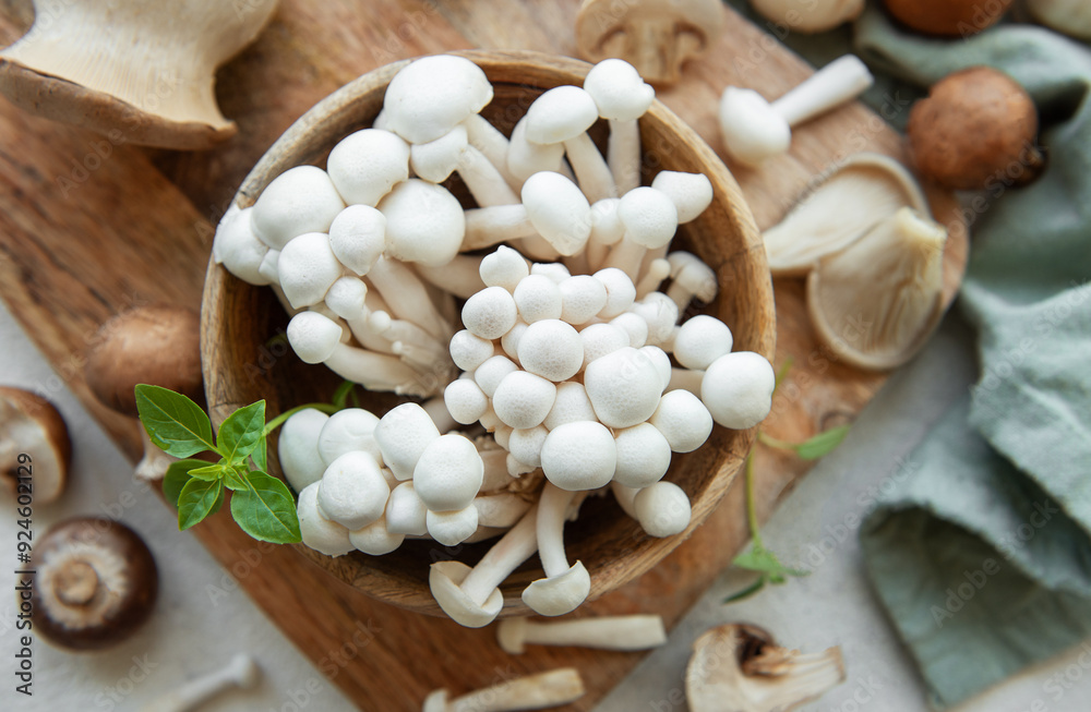 Assortment of various raw mushrooms on gray concrete background. Assortment of various raw mushrooms on gray concrete background.