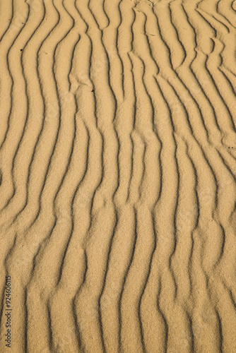 Cuadro en lienzo Desert sand background of a Curonian Spit dune