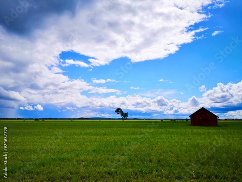 A barn and a tree on the field in Ostrobothnia, Finland photo