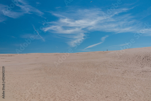 Fototapeta Naklejka Na Ścianę i Meble -  Sand dunes in Denmark