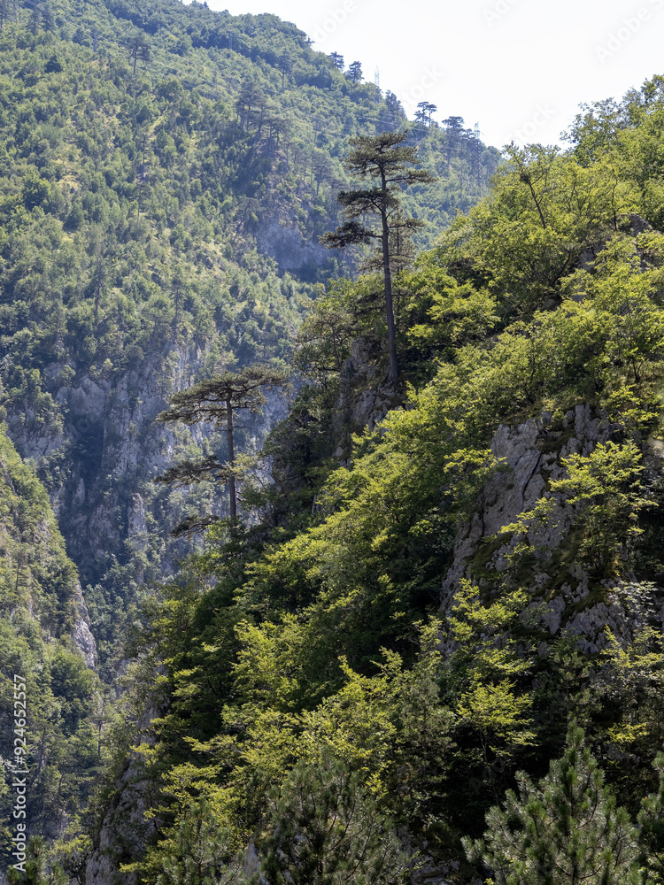 Beautiful mountains of Durmitor National Park in Montenegro