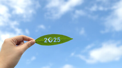 Hand holding leaves with text 2025 on blue sky. New Year 2025. Green recycling and environmental protection of the world. World Environment Day 2025. Environmental care and ecology. Net zero. ESG