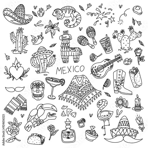 Contour doodle illustration on the theme of a Mexican holiday. mexico, celebration, sombrero, maracas, guitar, cactus, skull, mustache, flowers, chameleon, fireworks, animals pinata. collection