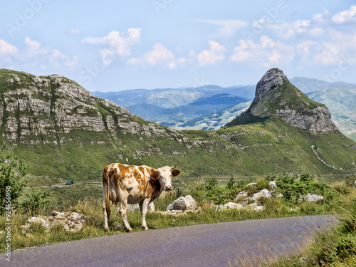 Beautiful mountains of Durmitor National Park in Montenegro