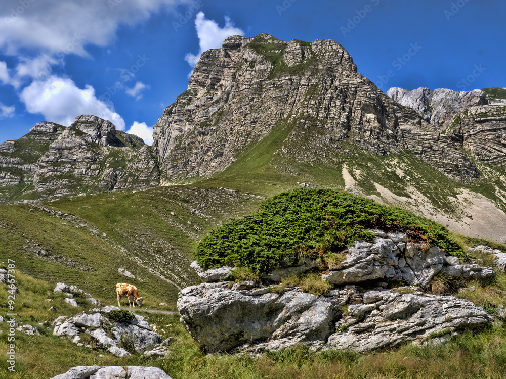 Beautiful mountains of Durmitor National Park in Montenegro