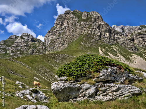 Obraz na płótnie Beautiful mountains of Durmitor National Park in Montenegro w salonie