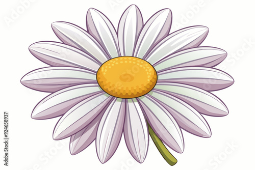 A Single White Daisy with a Yellow Center