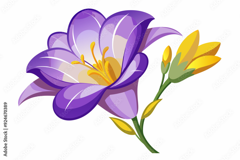 Fototapeta premium A Single Purple Flower with Yellow Buds on a Green Stem