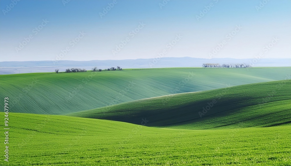 Obraz premium Fresh green fields in spring with a blue sky backdrop on a hill 