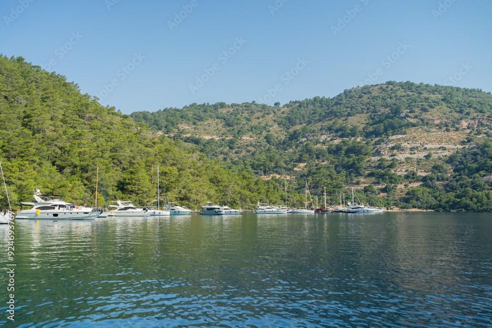Yachts and sailboats moored in a picturesque bay among green hills and pine forests Yachts and sailboats moored in a picturesque bay among green hills and pine forests