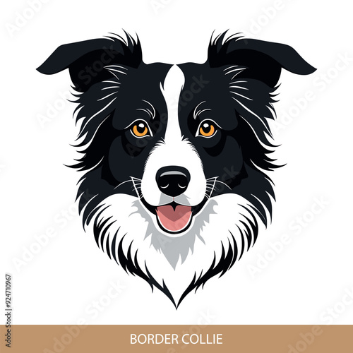 Stylized border collie Dog Head Illustration in Vector Art