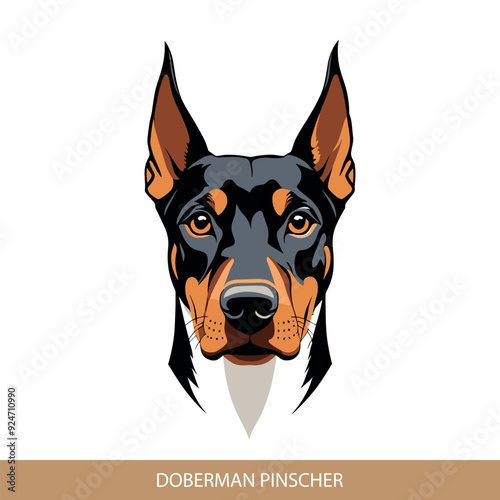 Stylized doberman pinscher Dog Head Illustration in Vector Art