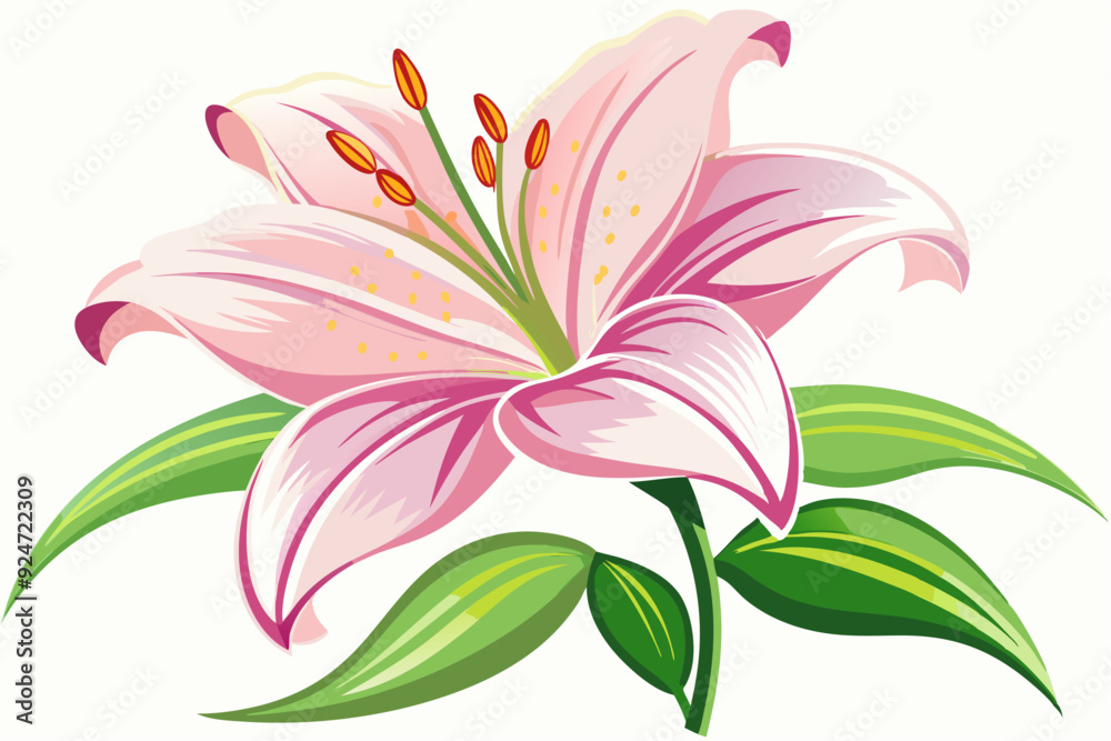 A Single Pink Lily with Green Leaves A Single Pink Lily with Green Leaves