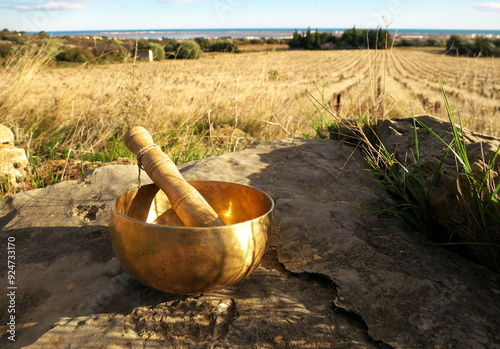 Singing bowl on a rock with a vineyard field and the sea on the horizon in the background photo