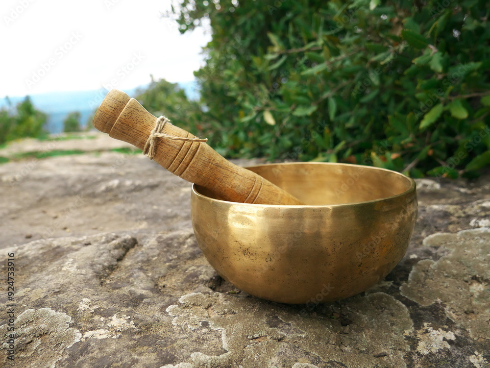 Singing bowl on a large rock with nature in the background Singing bowl on a large rock with nature in the background