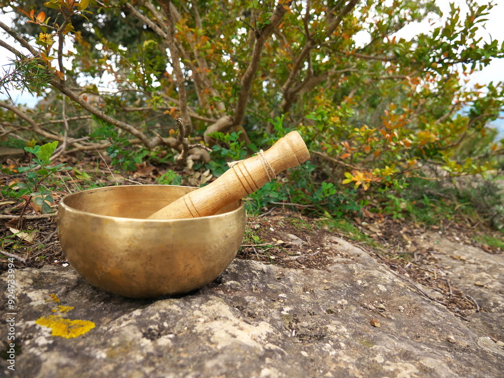 Singing bowl on a large rock with nature in the background Singing bowl on a large rock with nature in the background