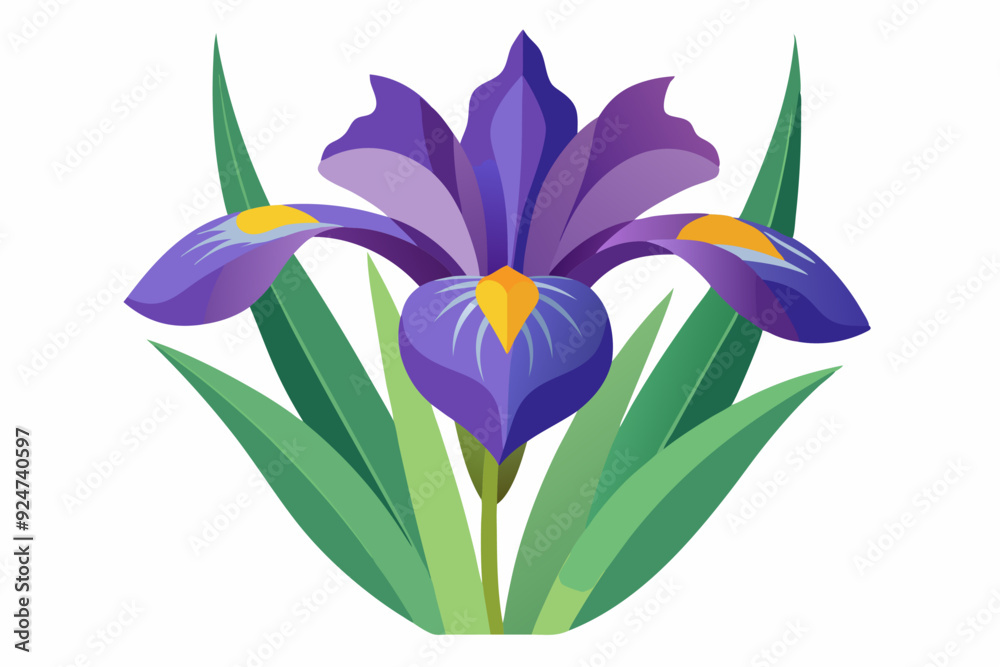 Naklejka premium A Purple Iris Flower with Green Leaves