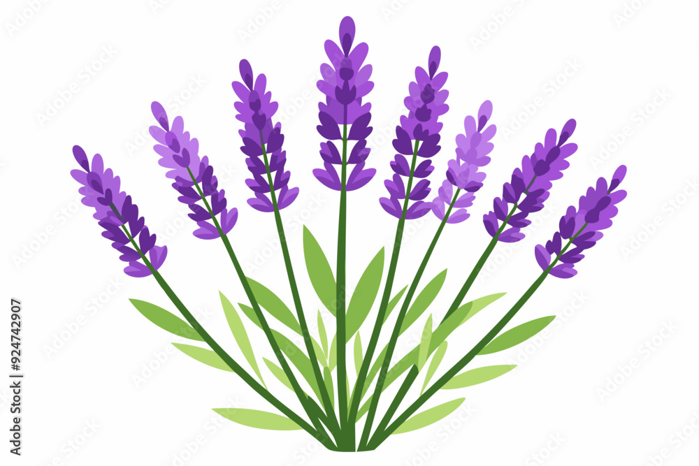 Naklejka premium Purple Lavender Flower Bouquet with Green Leaves